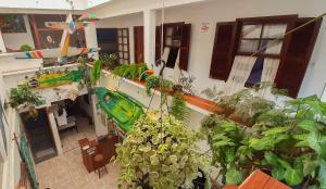 伊利亚贝拉Verde Hostel Ilhabela的一间种植了大量植物的房间和一座房子