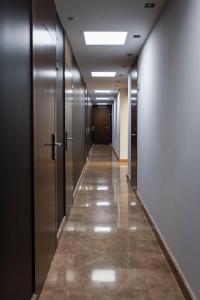 穆拉HOTEL ALCAZAR的金属门楼里电梯走廊