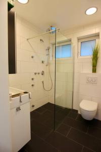 斯图加特Porschenahe Wohung的带淋浴、卫生间和盥洗盆的浴室