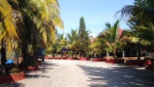 比亚维森西奥Hotel y Parque Turístico Navar City的度假村内一条种有棕榈树的土路