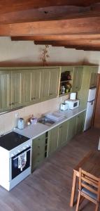 埃费奥纳斯Anemos的厨房配有绿色橱柜、水槽和炉灶。