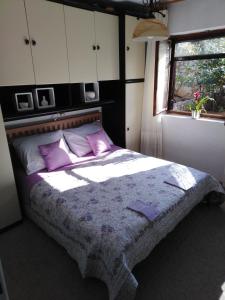 克罗诺维察Apartman Mimi的一间卧室配有一张带紫色枕头的床和窗户。