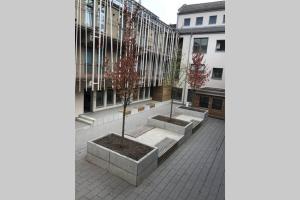 威斯巴登Central, Modern, mit großem Balkon Checkin123的两棵树,在一座建筑前的庭院里