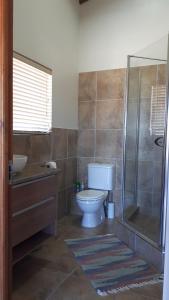 乔治Oubaai Ocean View Private Self catering rooms Herolds Bay的一间带卫生间和玻璃淋浴间的浴室