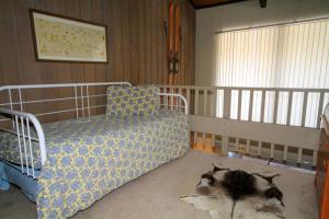 马姆莫斯湖Sierra Park Villas #24的卧室配有一张床,地板上放着一只猫