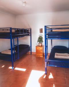黄金海岸冲浪者背包客巴兹旅舍的铺有瓷砖地板的客房配有两张双层床。