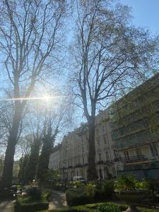 伦敦贝维德雷酒店的前面有树木的大建筑