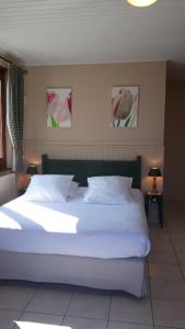埃维昂莱班绿洲酒店的卧室配有带白色枕头的大床