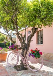拉戈阿Quinta Aida Cottage and B&B Suites的一辆自行车停在一棵树旁边,放着鲜花在篮子里