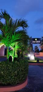 马塞约贾丁斯情趣酒店（仅限成人入住）的一群棕榈树在公园里度过夜晚