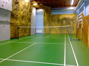 莫海尔尼采Hotel Mohelnice的一个带岩石墙的室内网球场