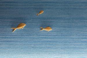浦安Hyatt Regency Tokyo Bay的一群鸟飞过海洋