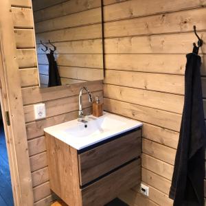 OpperdoesLandelijk gelegen houten huisje的一间带水槽和镜子的浴室