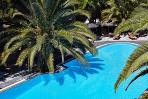 佩里萨梅特迷村庄酒店的游泳池旁棕榈树的顶部景色
