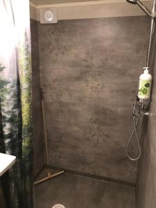 耶夫勒Gävle Bed & Breakfast的带淋浴的浴室