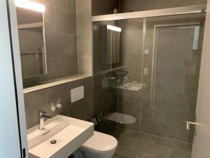 苏黎世SWAS by Livingdowntown的浴室配有卫生间、盥洗盆和淋浴。