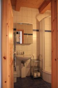 普劳西An der Metow-Ferienpark Hotel的一间带水槽和淋浴的浴室
