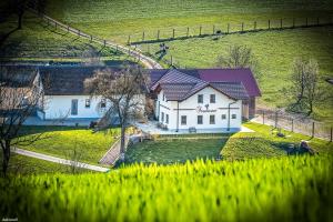 Oberndorf an der MelkStraußenhof Halmer的田野上白色的屋顶房子