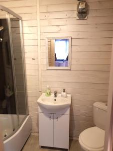皮什Mazurska Sielanka na Wiartlu的一间带水槽、卫生间和镜子的浴室