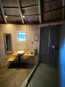 阿多Addo African Home的一间带玻璃淋浴和水槽的浴室