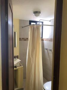 圣克鲁斯华特库Hotel Maria Mixteca的带淋浴帘和卫生间的浴室