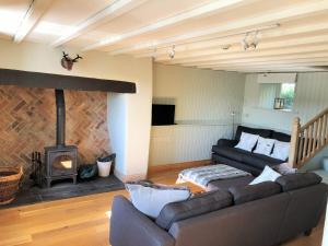 LlandegfanCoed y Berclas cottage, private orchard with stunning views的带沙发和壁炉的客厅