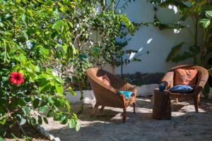科尼尔-德拉弗龙特拉Suites Cortijo Fontanilla的花园内摆放着两把藤椅和一张桌子