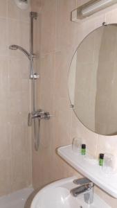 巴黎达拉普利斯德斯阿尔卑斯酒店的带淋浴、盥洗盆和镜子的浴室