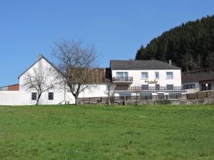 ÜbereisenbachSabine’s Gästehaus的一座白色的房子,位于一座绿地小山上
