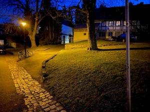 德累斯顿W.I.P. Welt im Park的一条鹅卵石街道,晚上有树和街灯