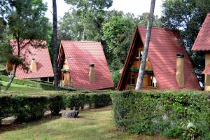 兹拉胡恩Zirahuen Forest and Resort的三座红色屋顶的房子