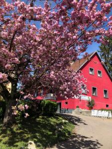 林道格吕贝尔旅馆的红谷仓前一棵有粉红色花的树