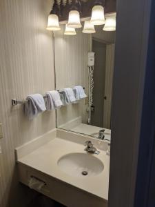 西黄石会所酒店的一间带水槽和镜子的浴室