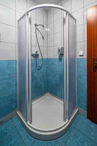 博耶蒂采牛山旅馆的浴室里设有玻璃门淋浴