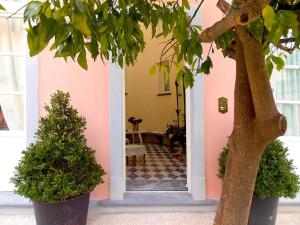 比萨迪卡米拉住宿加早餐旅馆的一座带树的粉红色房子的入口