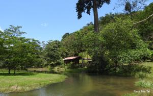 比加瓜Mei Tai Cacao Lodge的河边的房屋,有树木,有建筑