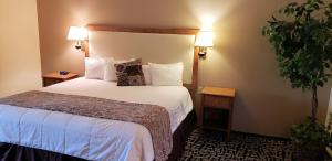杜波依斯驿马旅馆及套房的酒店客房配有带白色床单和枕头的床。