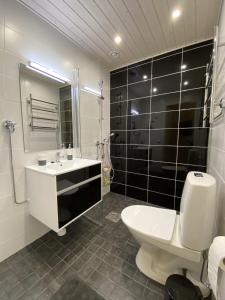 罗瓦涅米Cosy studio apartment - perfect for your stay in Rovaniemi!的浴室配有白色卫生间和盥洗盆。