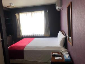 木更津东京海湾广场酒店的一间卧室设有一张大床和窗户