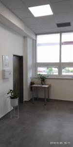 科希策WHITE CORAL CLUB的一间办公室,配有桌子和两盆植物
