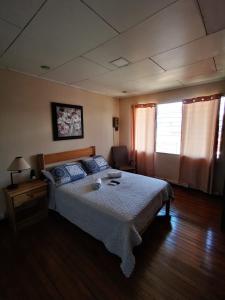 Toucan Hostel客房内的一张或多张床位