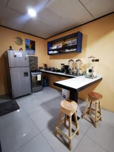 阿拉胡埃拉Toucan Hostel的厨房配有柜台、冰箱和2张凳子