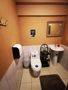 阿拉胡埃拉Toucan Hostel的一间带卫生间和水槽的浴室