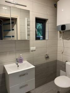 辛安诺泽蒂Aparts Care Beztroska的一间带水槽、卫生间和镜子的浴室