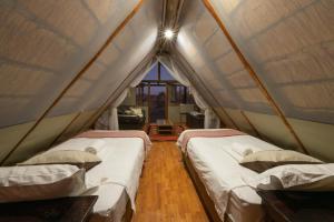 Buffelshoek Tented Camp客房内的一张或多张床位