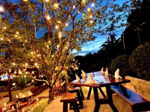 曼努埃尔安东尼奥Hotel Playa Espadilla & Gardens的一张带灯和一棵树的野餐桌