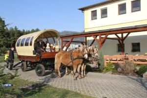 SchmogrowPension zum Reiterhof的几匹马和人们一起拉马