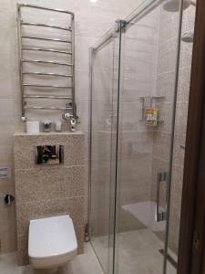 利沃夫RynOK 25 Deluxe Lviv Center的一间带卫生间和玻璃淋浴间的浴室