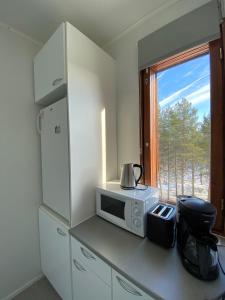 罗瓦涅米Cosy studio apartment - perfect for your stay in Rovaniemi!的带微波炉的厨房,位于带窗户的柜台上
