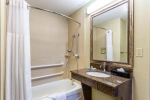 哈里斯堡Candlewood Suites Harrisburg I-81 Hershey Area, an IHG Hotel的一间带水槽、浴缸和镜子的浴室